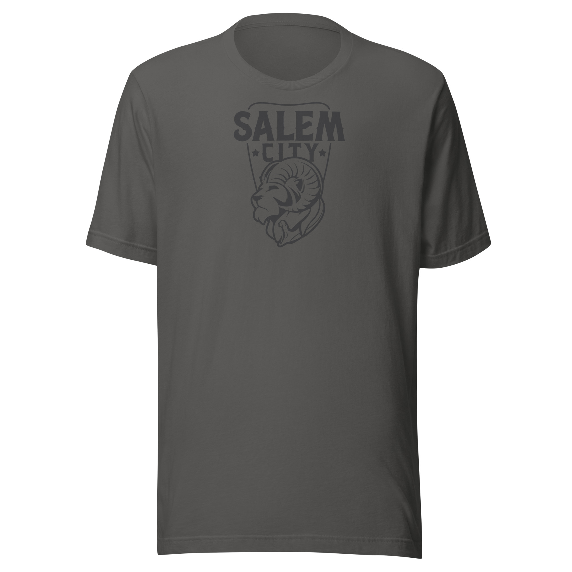 Salem City Shield DarkUnisex t-shirt