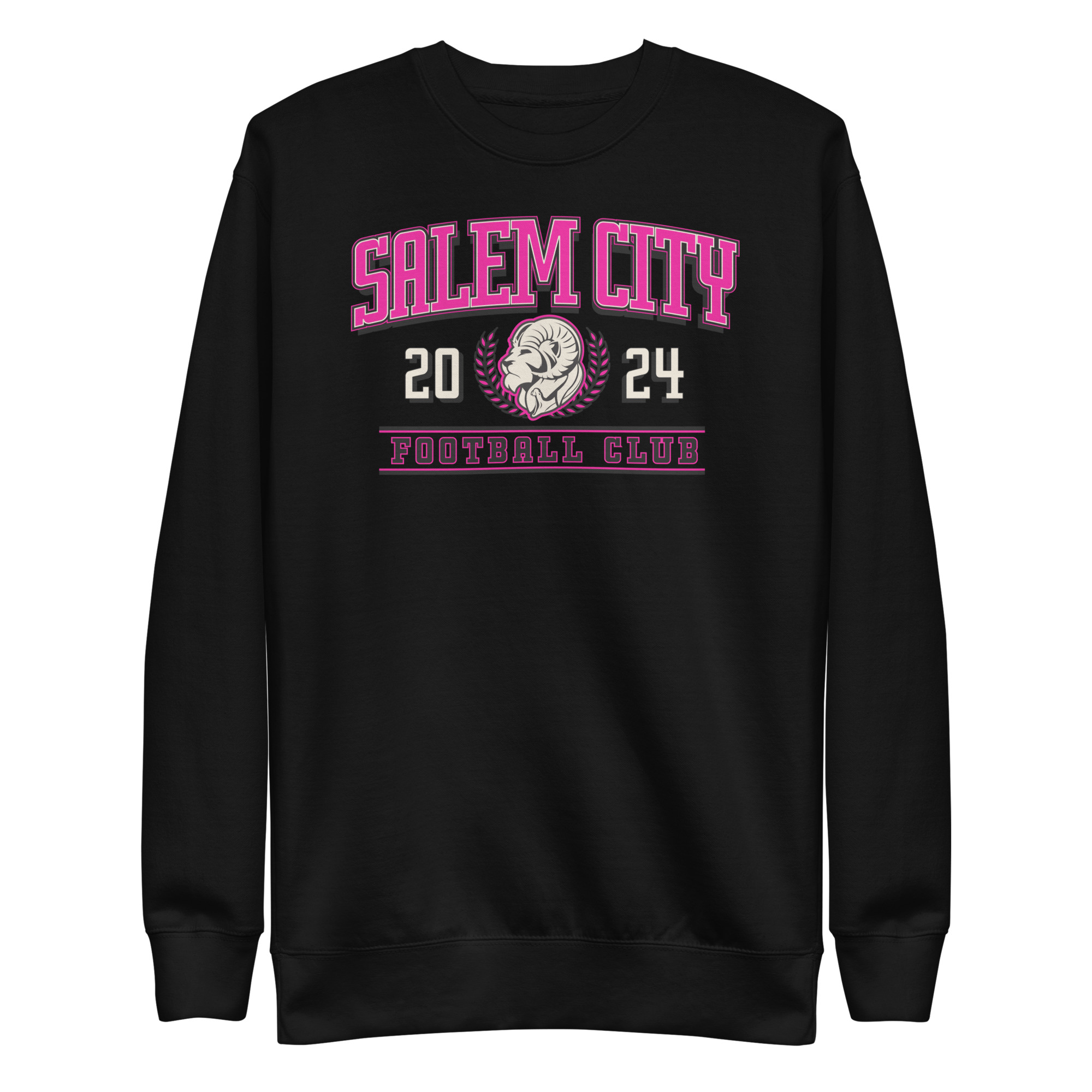 Salem City Collegiate Dark Unisex Premium Sweatshirt